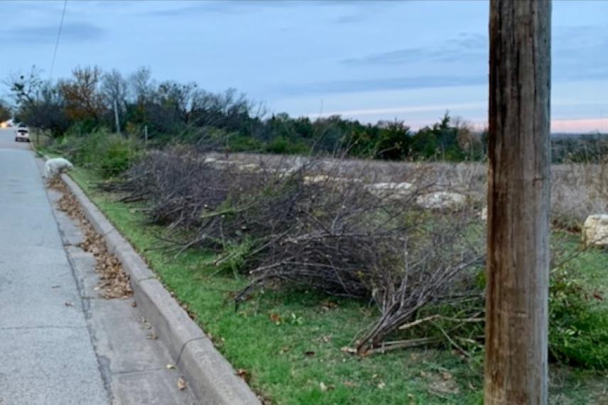 Roadside with piles of trimmed branches and a utility pole.