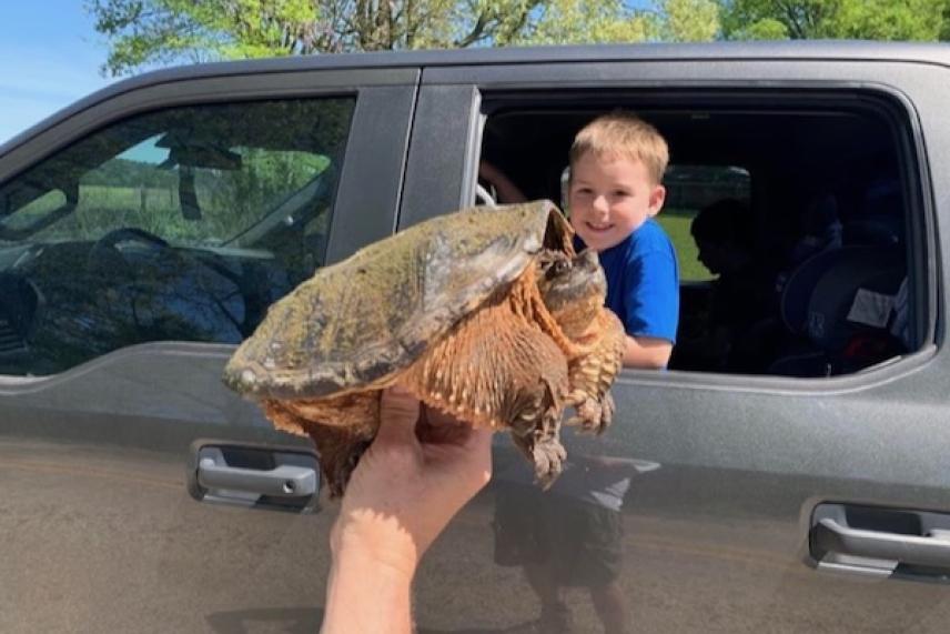 A large turtle held near a gray car window with a child leaning out.