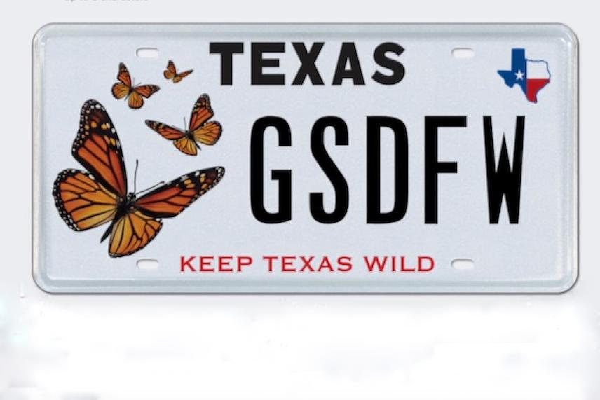 Texas license plate with butterflies and the phrase "Keep Texas Wild."