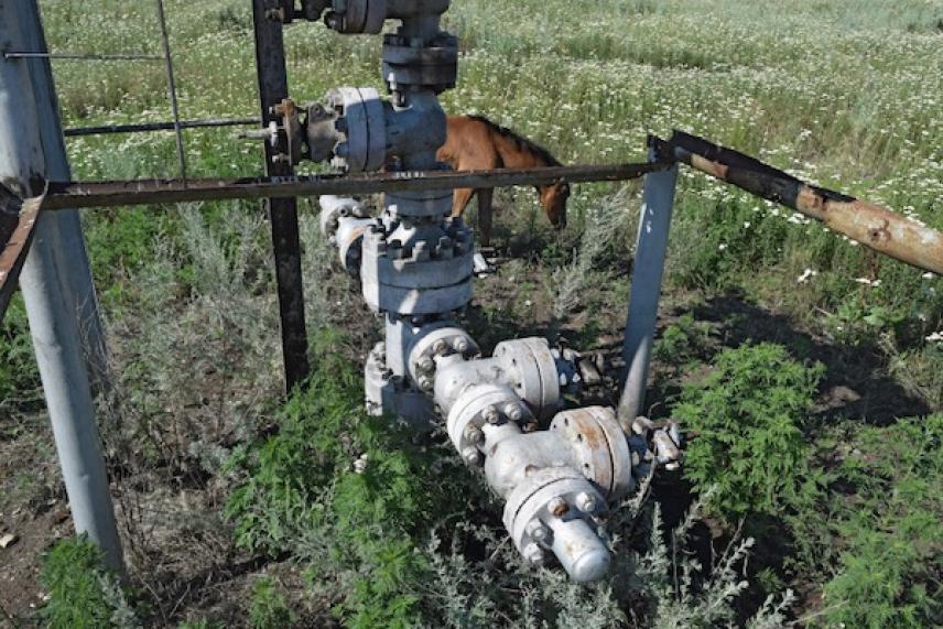 Rusty pipes and valves in a field with wildflowers and greenery.