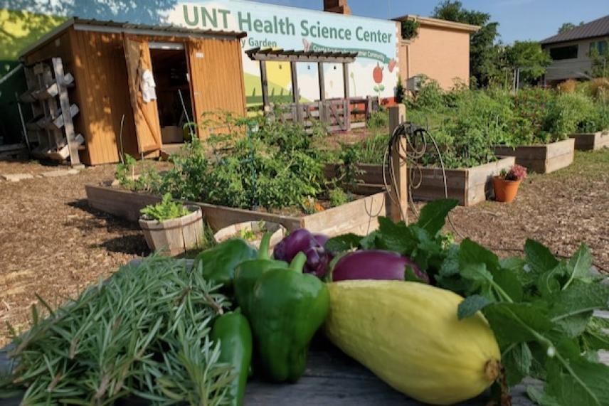 Vegetables on a table in front of a garden and building in sunny weather.