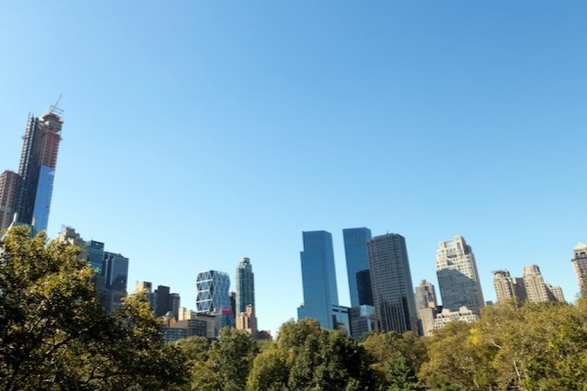 Skyline view with skyscrapers and trees under a clear blue sky.