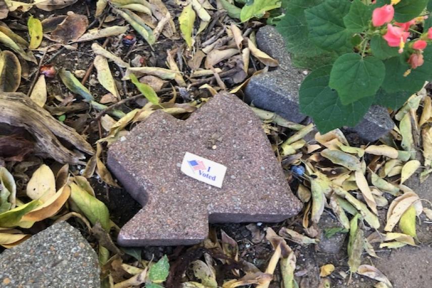 Bird-shaped stone among fallen leaves and flowers.