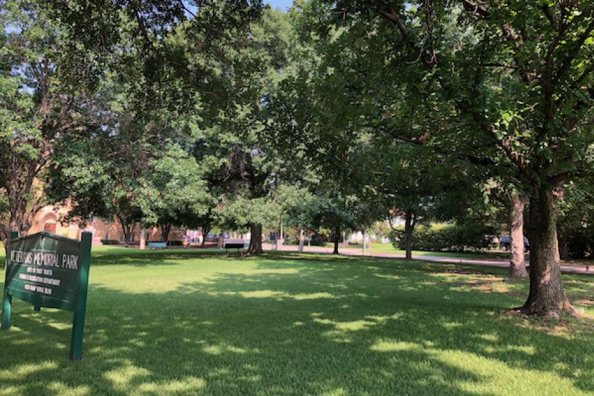 Green park with lush trees and a sign on the lawn, sunny day.