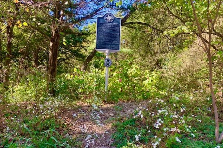 Historical metal sign in a lush, sunlit forest clearing.