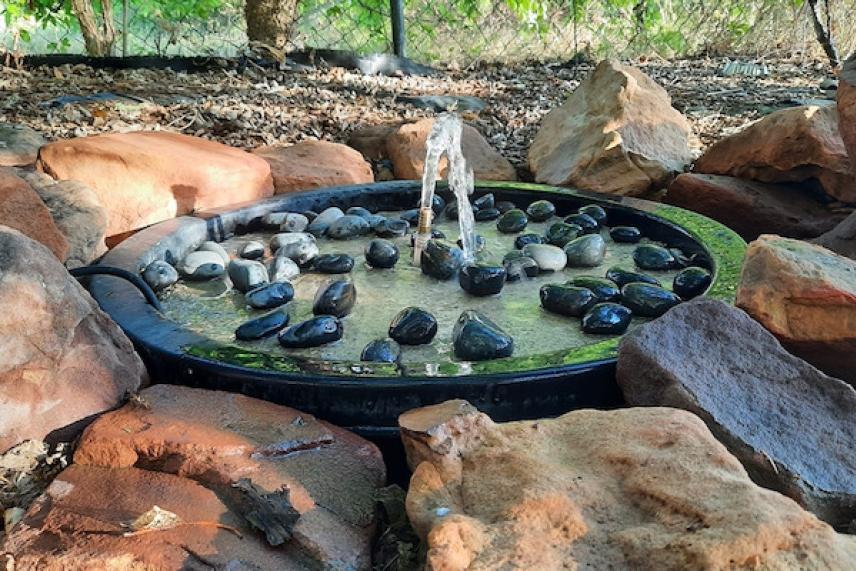 Water fountain with black stones, surrounded by large rocks in a natural setting.