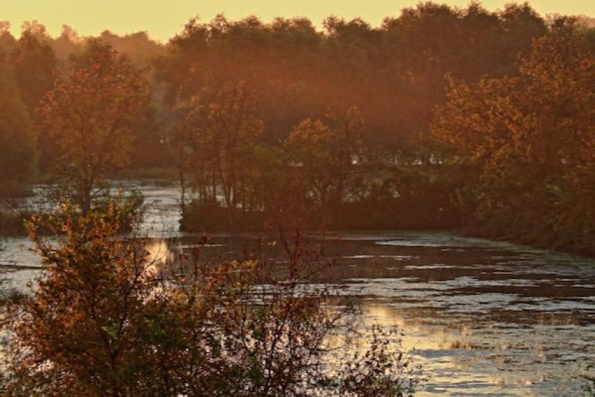 Sunlit river with autumn trees and mist, under a warm orange sky.