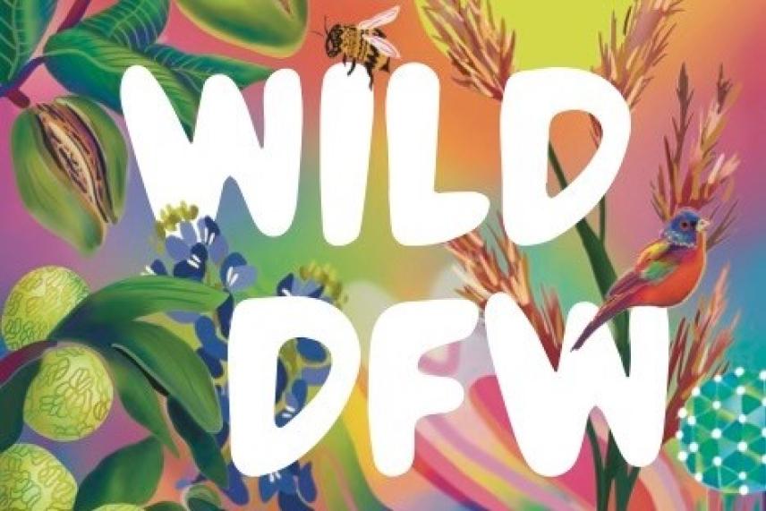 Colorful illustration with "WILD DFW," featuring plants, a bird, and a bee.