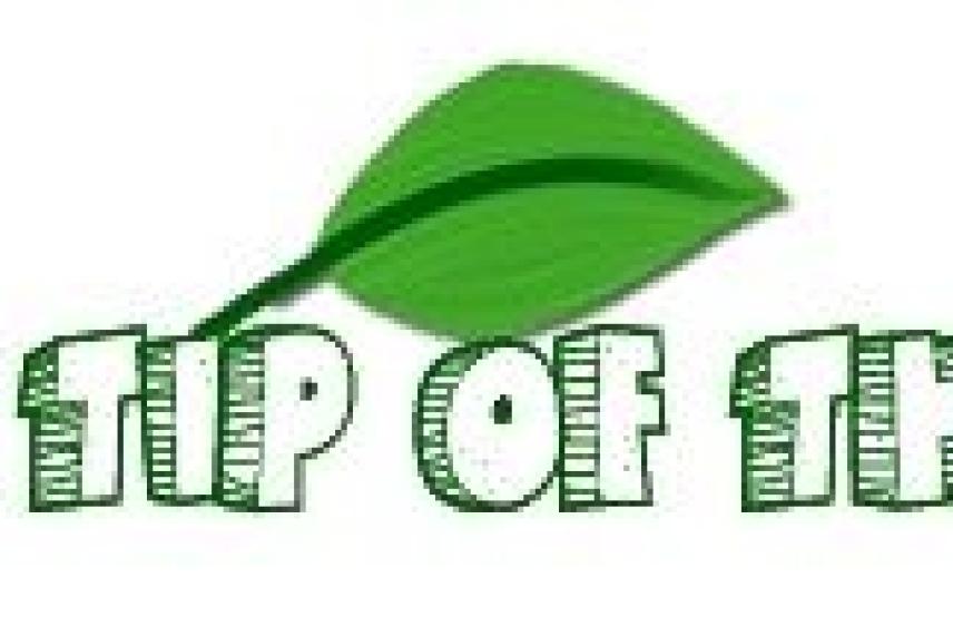 Green Tips logo