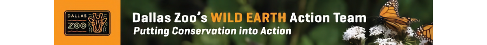 Banner ad for Dallas Zoo
