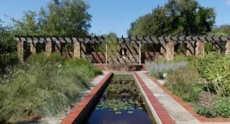 The lily pond at Weston Gardens was built in the 1930s.