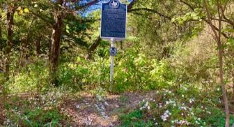 Historical marker in a forest clearing surrounded by trees and wildflowers.