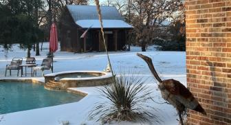 Snow Covers Possum Lodge at Hank's Home