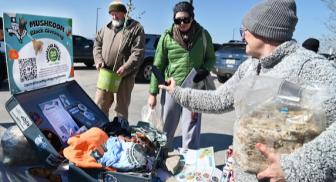 A mushroom block giveaway in Manor, Texas hosted by The Central Texas Mycology Society.