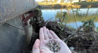 Plastic pellets called nurdles were found at Mountain Creek Lake in Grand Prairie by a volunteer. 