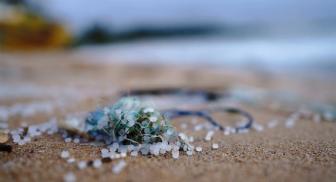 Nurdles on Beach