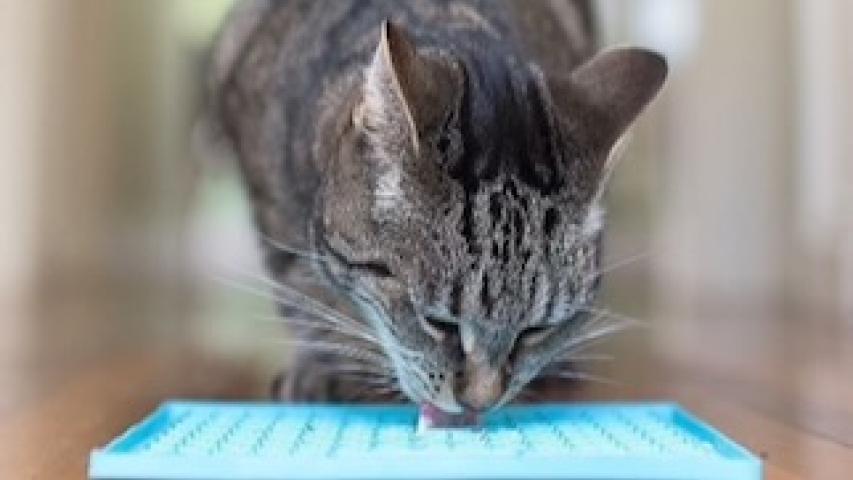 The Licki Mat for Cats