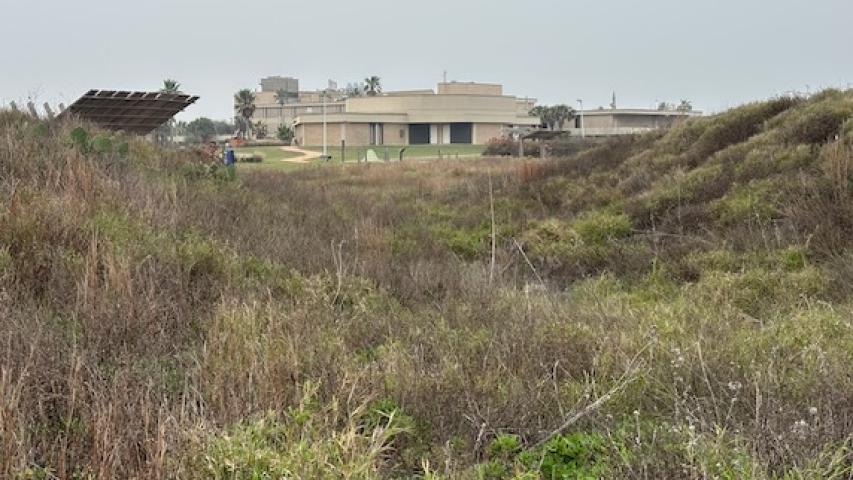 University of Texas Marine Science Institute
