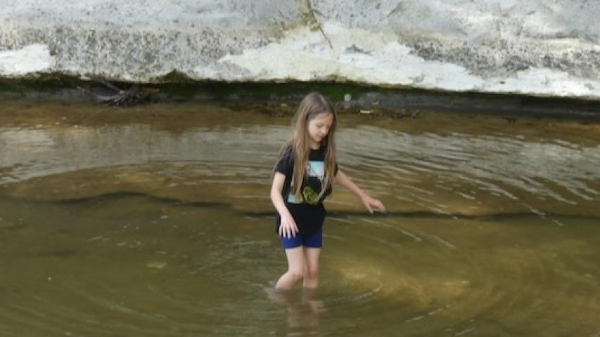 Irene wades the creek at Ladd Nature Preserve in Duncanville