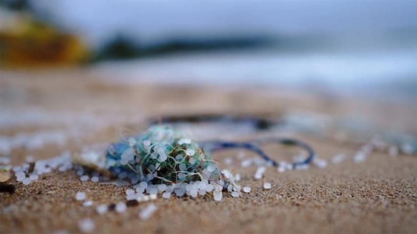 Nurdles on Beach