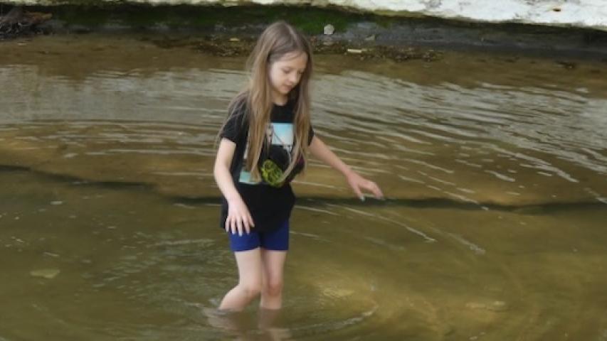 Irene wades the creek at Ladd Nature Preserve in Duncanville