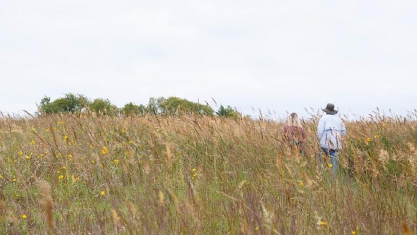 Two people walking through a grassy field under a cloudy sky.