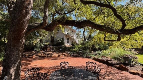 The lily pond at Weston Gardens was built in the 1930s. Photo by Michael Smith.