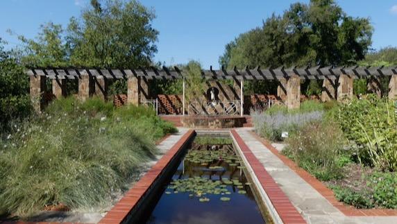 The lily pond at Weston Gardens was built in the 1930s.