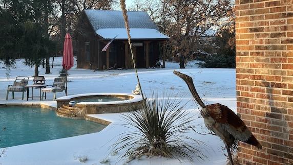 Snow Covers Possum Lodge at Hank's Home