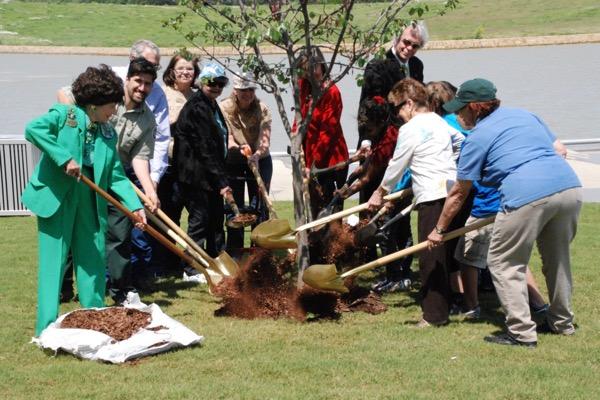 Group planting a tree with shovels by a lake.