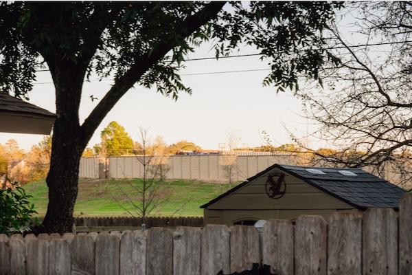 Suburban backyard at sunset with trees and wooden fence.