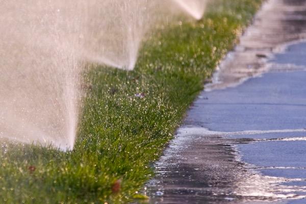 Sprinklers watering green grass near a wet sidewalk.