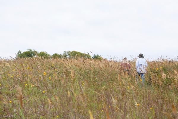 Two people walking through a grassy field under a cloudy sky.
