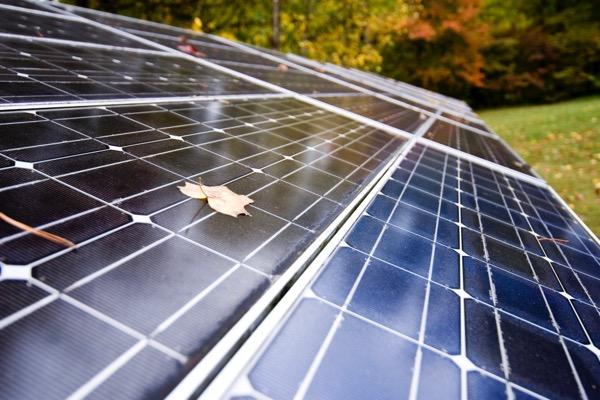 Solar panels with a leaf under bright sunlight, surrounded by autumn foliage.
