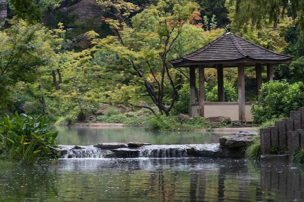 Pavilion beside a tranquil pond with waterfall and lush greenery.