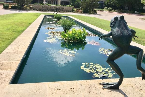 Reflective pond with lily pads and a frog statue beside the water.