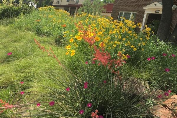 Lush garden with yellow, pink, and orange flowers in front of a brick house.