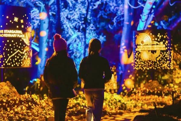 Two people in winter clothes walk through a colorful illuminated forest at night.