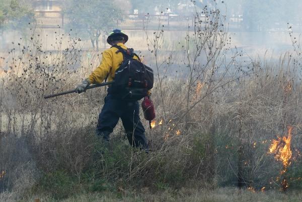 Firefighter in yellow gear controlling a grass fire.
