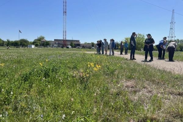 A group walks along a grassy field under a clear blue sky.