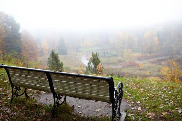 Bench overlooking a foggy autumn landscape with trees and a winding path.
