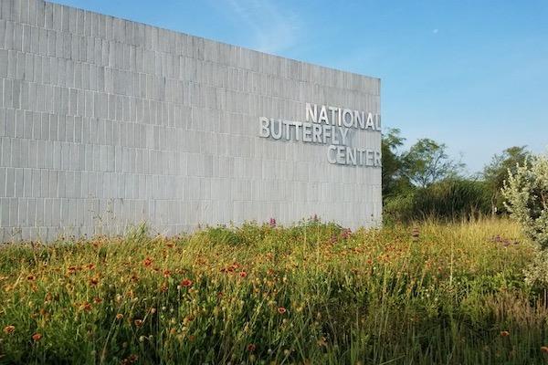 National Butterfly Center building with wildflowers in front.