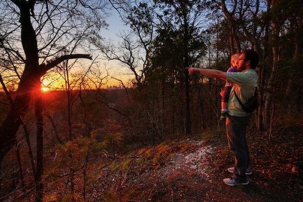 Man and child stand in a forest, watching a sunset.
