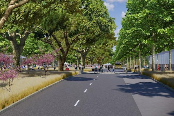Tree-lined road with people walking, surrounded by greenery and flowers.