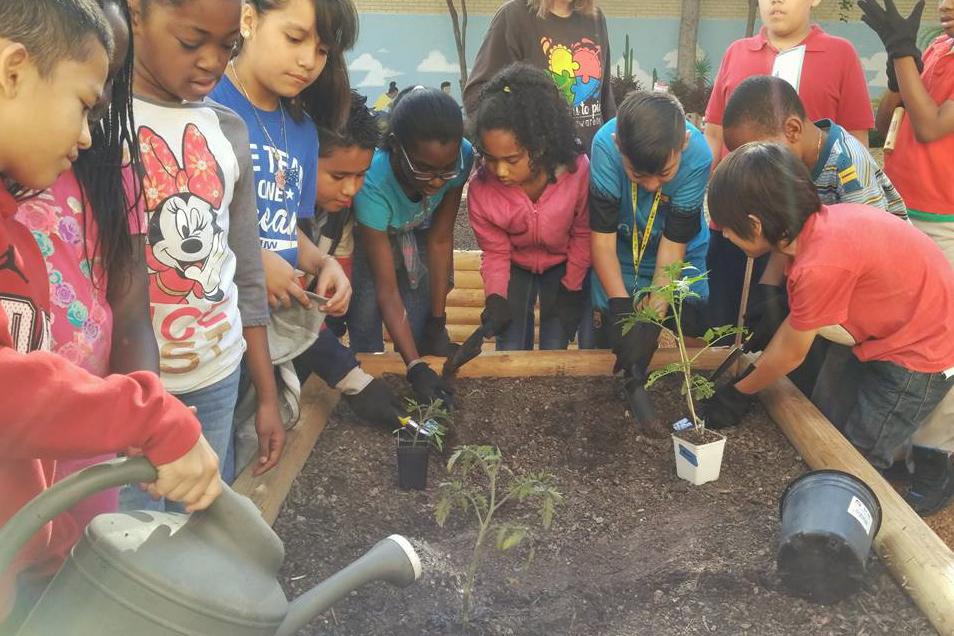 Children planting seedlings in a garden bed.
