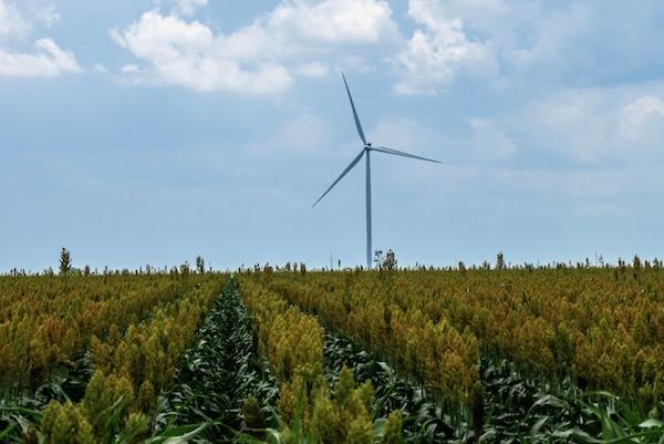 Wind turbine in a field under a cloudy sky.