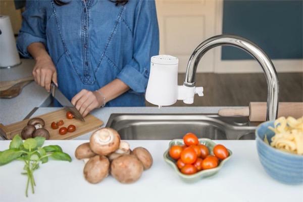 Woman chopping vegetables in a kitchen next to a sink.