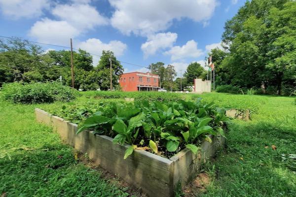 Raised garden bed with green plants, red building, blue sky, and white clouds.