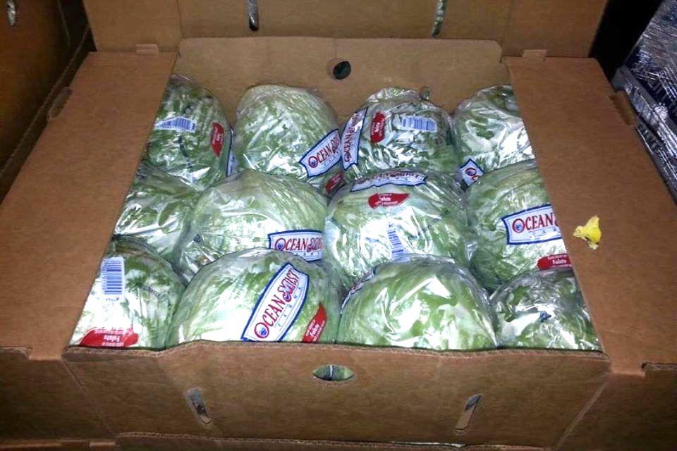 Box filled with wrapped lettuce heads.