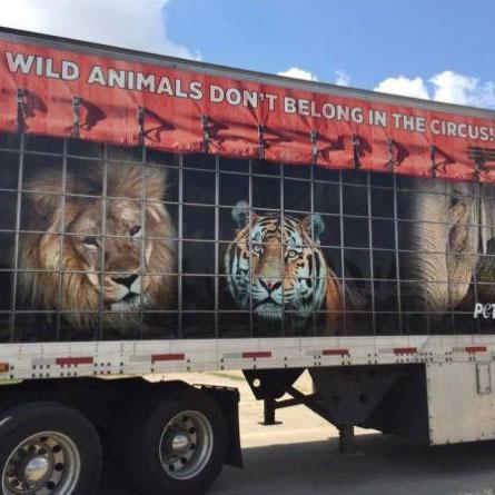 Truck with lion and tiger graphics, promoting animal rights.
